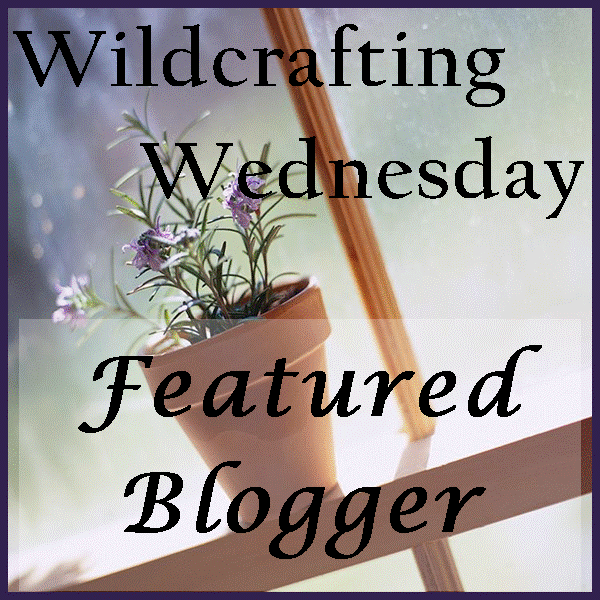Wildcrafting Wednesday Featured Blogger