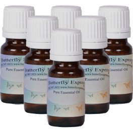 Why are Butterfly Express oils so affordable?  Are they lower quality?