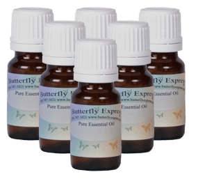 New Essential Oil Blends & Singles Available
