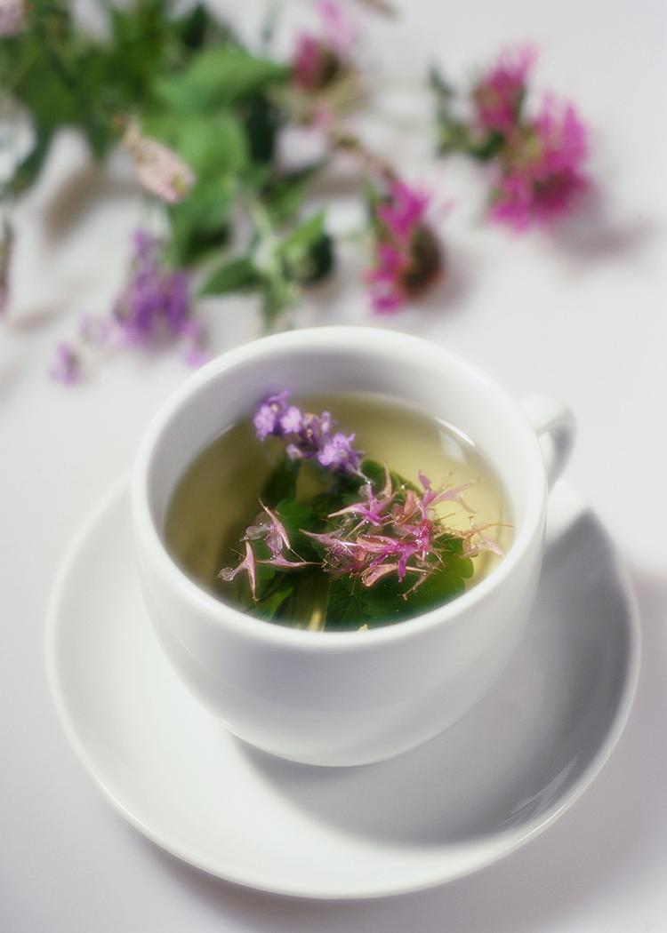 What Is a Tea Infusion?