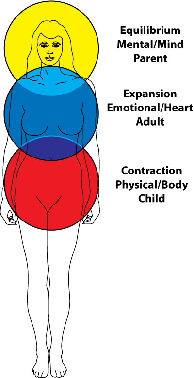 Emotional Anatomy – Overview