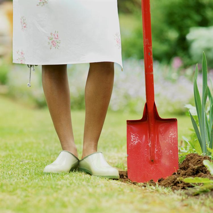 May – Home, Yard, and Lawn Maintenance Calendar