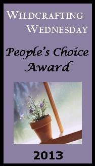 The People's Choice Award