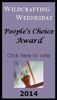 2014 People's Choice Award