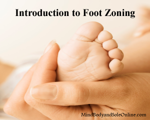 Introduction to Foot Zoning
