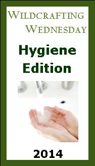 Wildcrafting Wednesday – Hygiene Edition