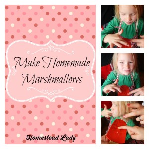 Make-Homemade-Marshmallows-www_homesteadlady_com_