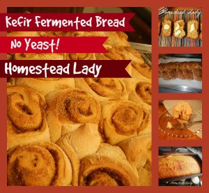 Kefir-Fermented-Bread-Dough-www_homesteadlady_com-you-can-make-cinnamon-rolls-loaf-bread-challah-breadsticks-and-more