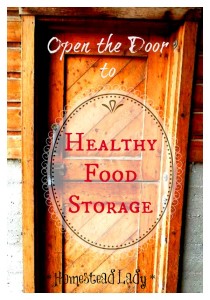 Healthy-Food-Storage-l-Its-not-as-hard-as-you-might-think-l-Homestead-Lady