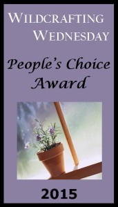 2015 WW People's Choice Award Promo Button