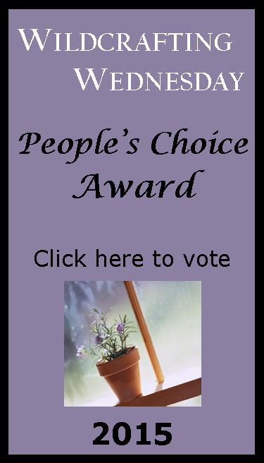 Vote for People’s Choice Nominee