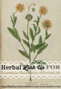 CLIP ART Marigold Calendula Blackwell Link Up