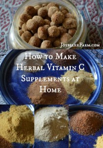 How-to-make-herbal-vitamin-C-supplements-at-home