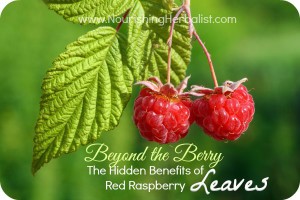 pair of raspberry with leaf on green background