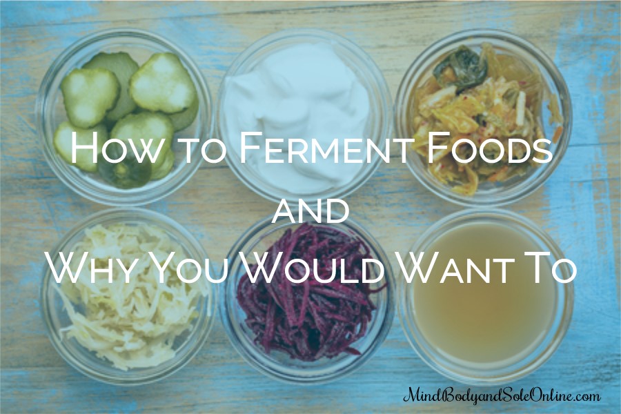 Fermented Foods Class