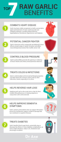 Garlic for Intestinal Health Q & A – Mind Body and Sole