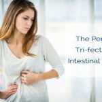 The Perfect Trifecta for Intestinal Health