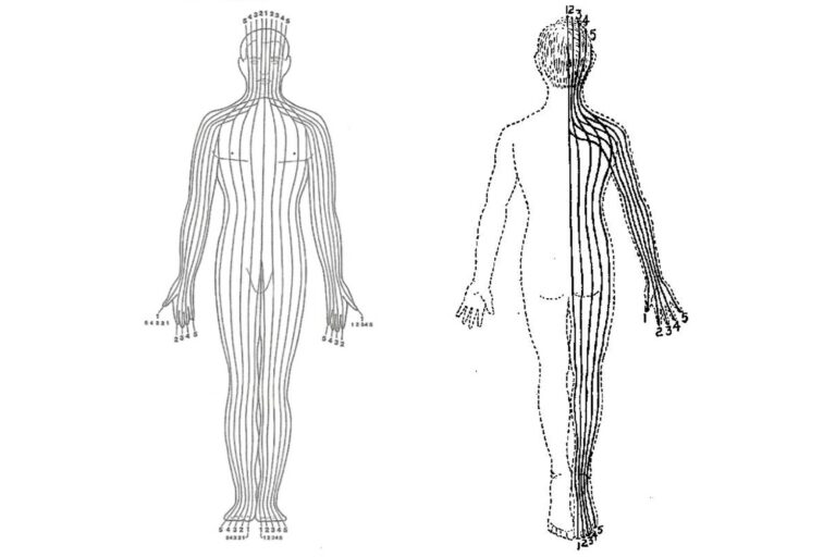 Introduction to Foot Zone Therapy – Mind Body and Sole